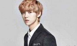 台湾爆料鹿晗事件视频,真相与争议交织